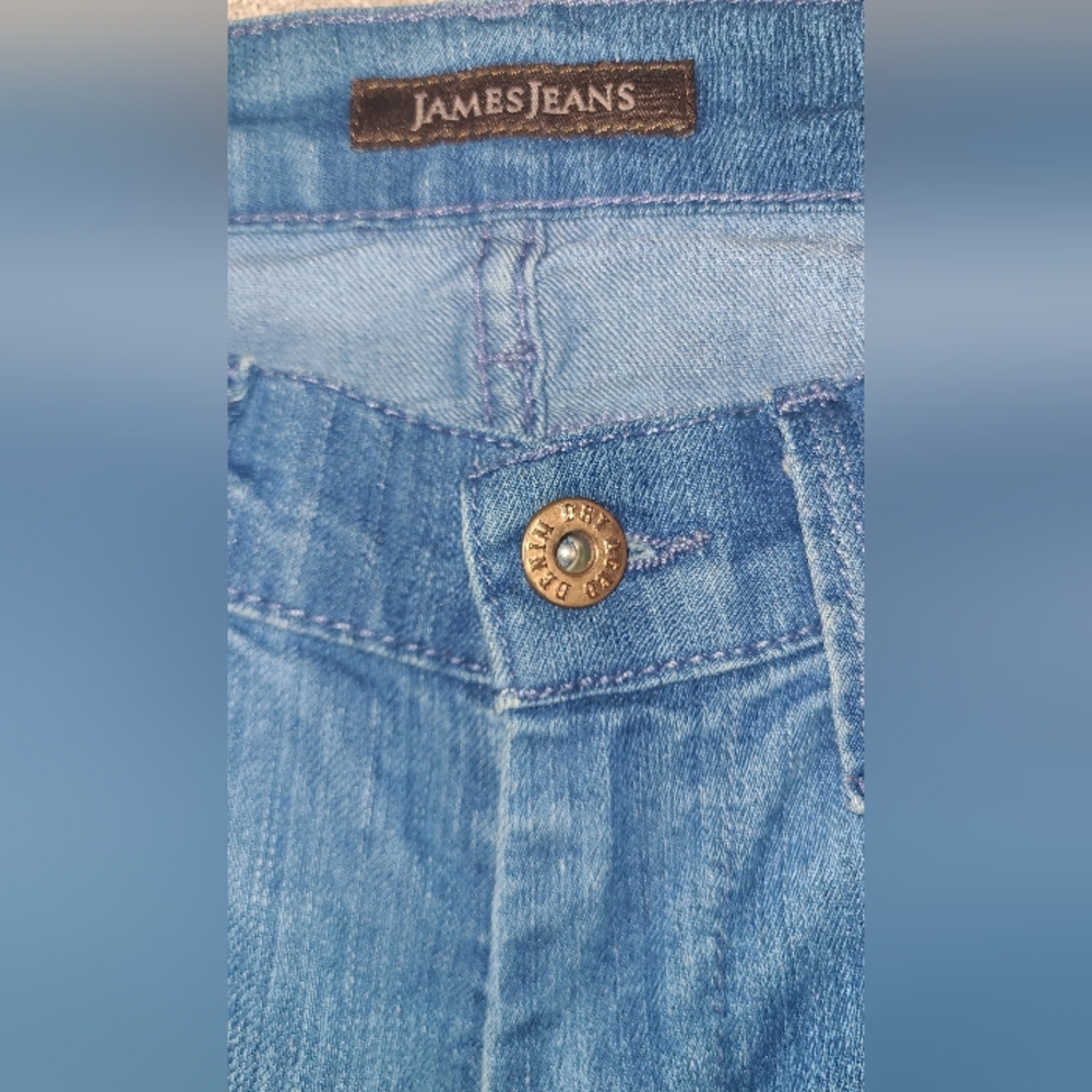 Women's Humphrey Flared James Jeans 25